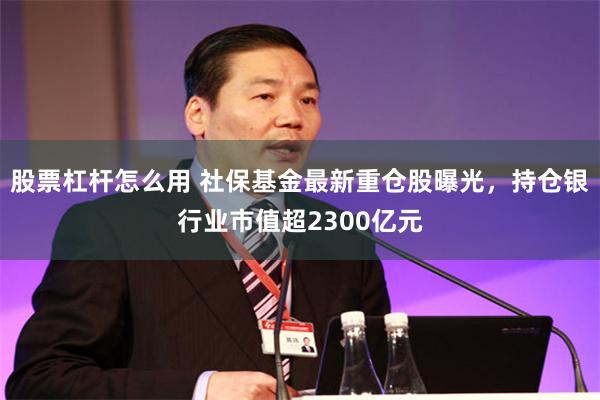 股票杠杆怎么用 社保基金最新重仓股曝光，持仓银行业市值超2300亿元
