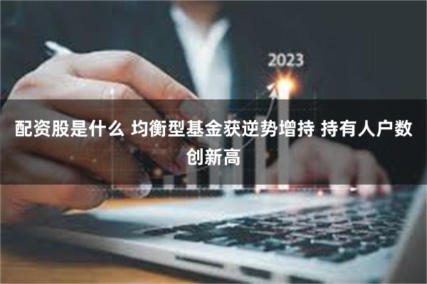 配资股是什么 均衡型基金获逆势增持 持有人户数创新高