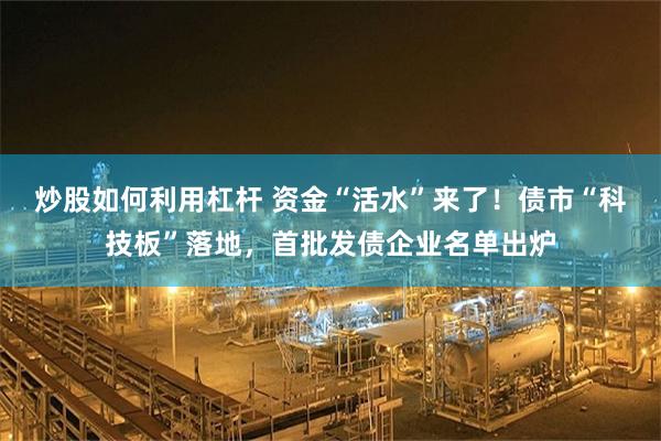 炒股如何利用杠杆 资金“活水”来了！债市“科技板”落地，首批发债企业名单出炉