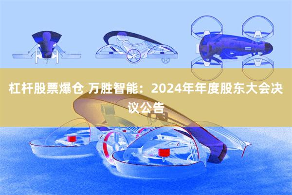 杠杆股票爆仓 万胜智能：2024年年度股东大会决议公告