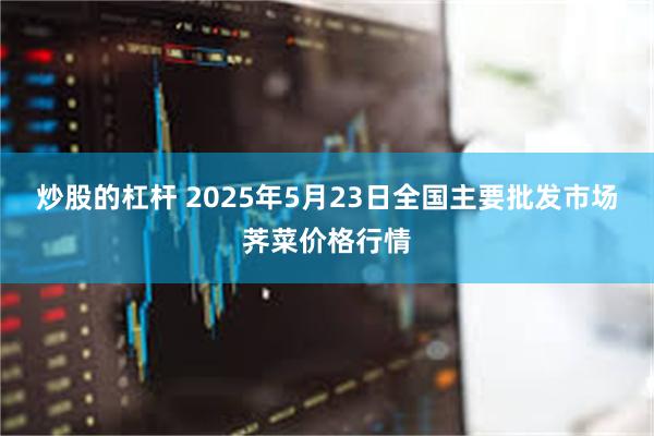炒股的杠杆 2025年5月23日全国主要批发市场荠菜价格行情
