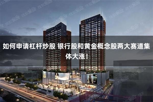 如何申请杠杆炒股 银行股和黄金概念股两大赛道集体大涨！